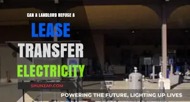 Navigating Lease Transfers: Can Your Landlord Refuse Electricity?