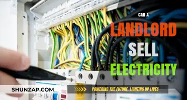 Empowering Tenants: Understanding Landlords' Rights to Sell Electricity