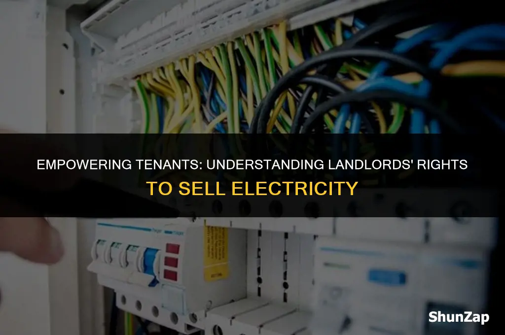 can a landlord sell electricity