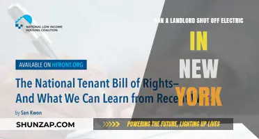 Understanding Tenant Rights: Can a Landlord Shut Off Electricity in New York?