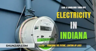 Indiana Landlord Rights: Can They Turn Off Your Electricity?