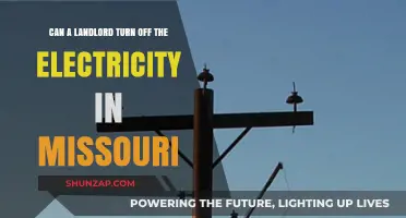 Missouri Landlord Rights: Can They Turn Off Your Electricity?
