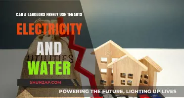 Can Landlords Legally Use Tenants' Electricity and Water?