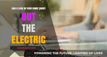 Home Safety: Can a Leak Short Out Your Electrical System?