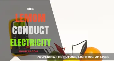 Sour Power: Unveiling the Electrifying Truth About Lemons
