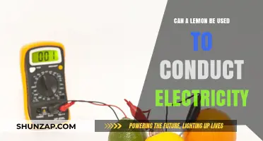 Can Lemons Conduct Electricity? Surprising Science Behind Citrus Power