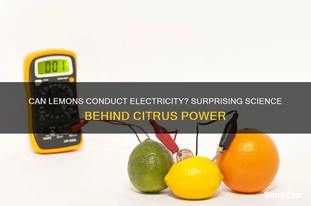 can a lemon be used to conduct electricity