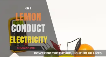Sour Power: Unveiling the Electrifying Truth About Lemons