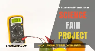 Zesty Power: Exploring Electricity Generation with Lemons