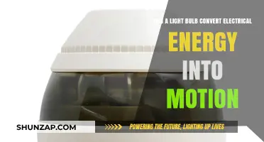 Illuminating Motion: Can Light Bulbs Convert Electrical Energy into Movement?