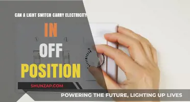 Exploring the Hidden Dangers: Can a Light Switch Carry Electricity in the Off Position?