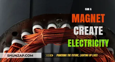 Exploring the Connection: Can Magnets Generate Electricity?