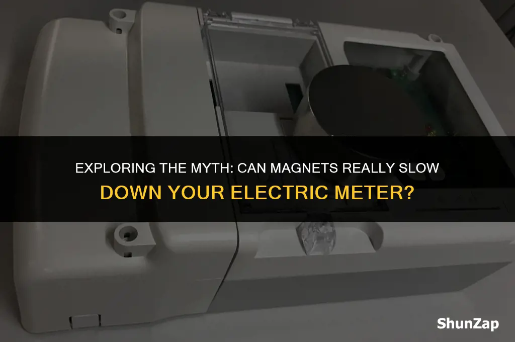 can a magnet slow an electric meter