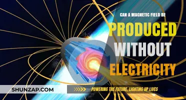 Exploring the Possibilities: Magnetic Fields Beyond Electrical Currents
