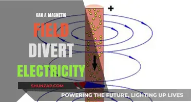 Exploring the Interaction: Can Magnetic Fields Divert Electricity?
