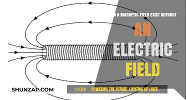 Exploring the Intricacies: Can Magnetic Fields Exist Independently of Electric Fields?