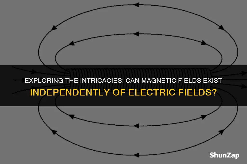 can a magnetic field exist without an electric field