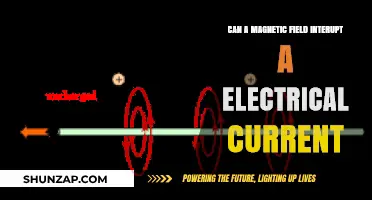 Exploring the Interaction: Magnetic Fields and Electrical Currents