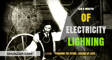 Unleashing the Power: Can a Master of Electricity Harness Lightning?