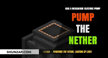 Exploring Mekanism: Can an Electric Pump Handle the Nether?