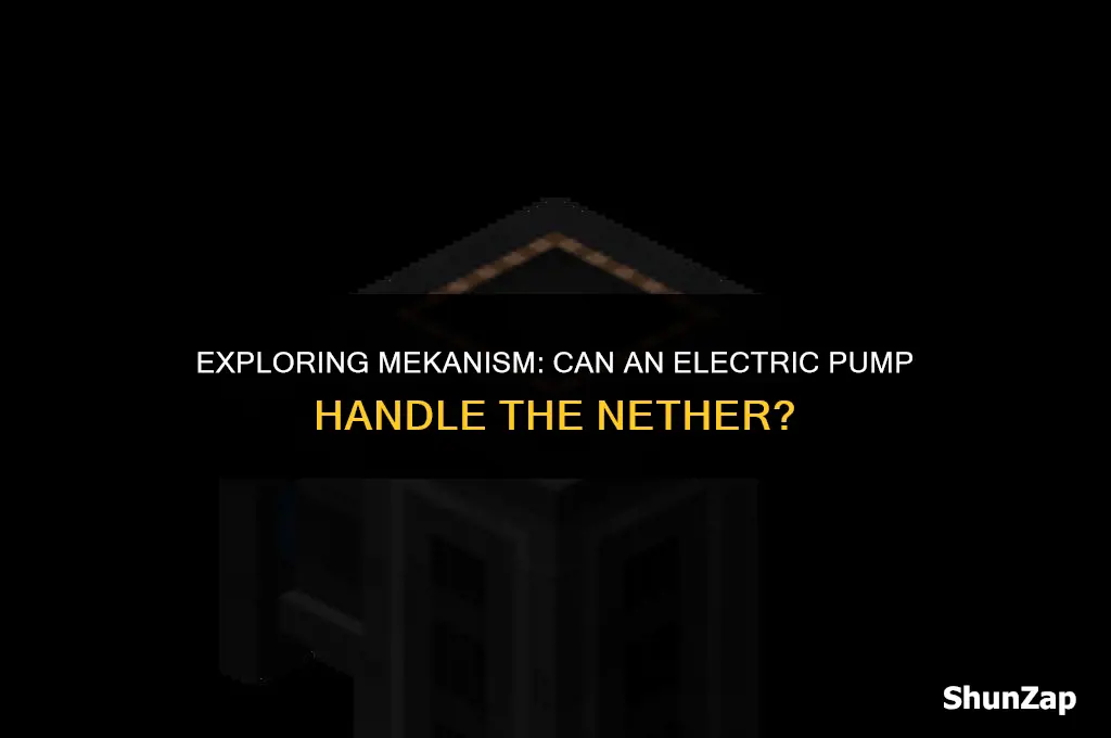 can a mekanism electric pump pump the nether