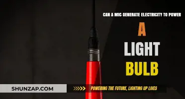 Harnessing Sound: Can a Microphone Power a Light Bulb?