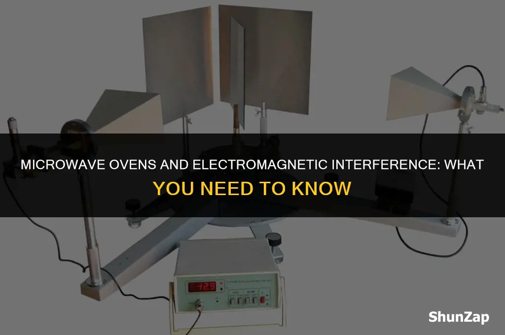 can a microwave cause electro magnetic interference