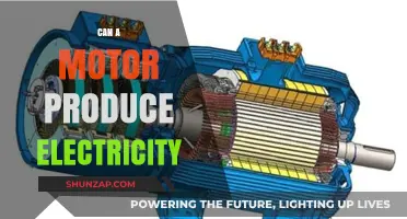 Exploring the Dual Nature of Motors: Can They Generate Electricity Too?