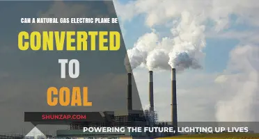Exploring the Feasibility of Converting Natural Gas Electric Planes to Coal Power