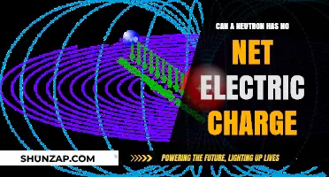 Exploring the Neutrality of Neutrons: A Deep Dive into Atomic Physics