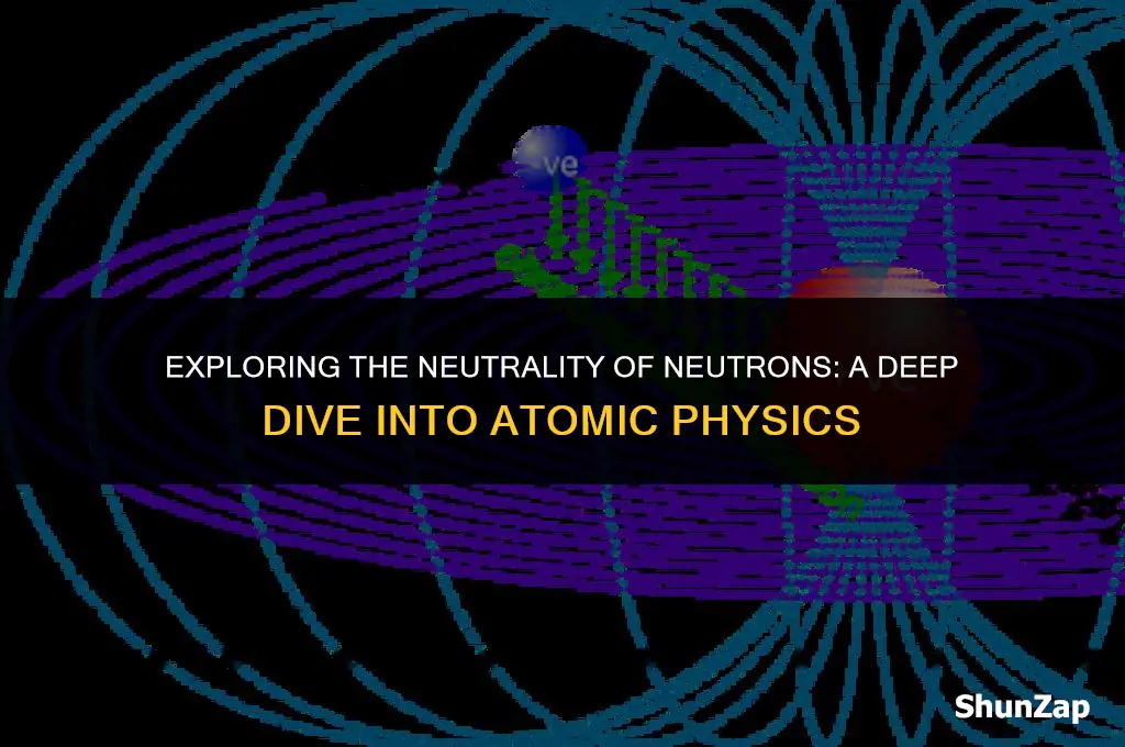 can a neutron has no net electric charge