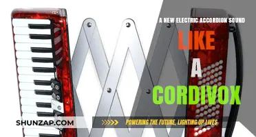 Exploring the Sonic Possibilities: Electric Accordion vs. Cordivox