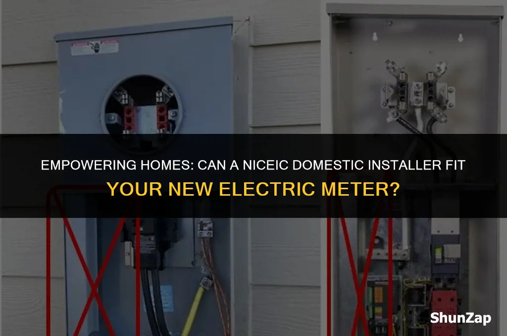 can a niceic domestic installer fit a new electric meter