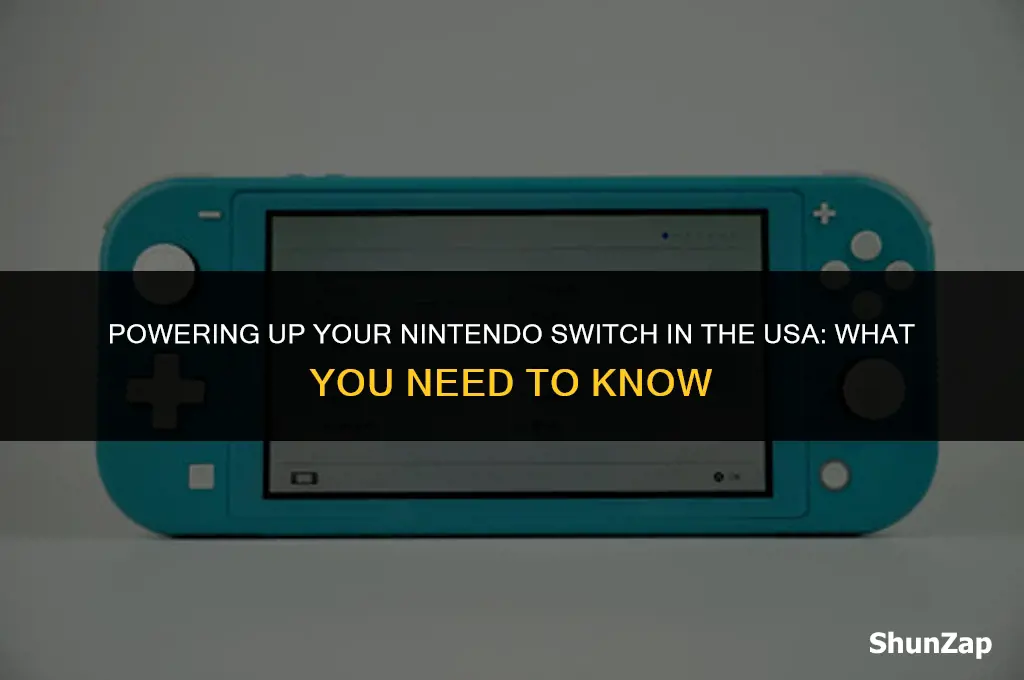 can a nintendo switch be powered on american electricity