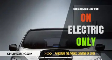 Exploring the Nissan Leaf: A Comprehensive Guide to Electric Driving