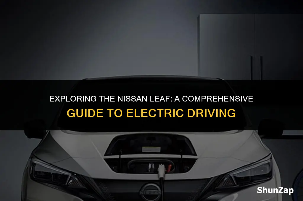 can a nissan leaf run on electric only