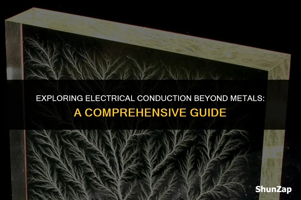 can a non metal conduct electricity
