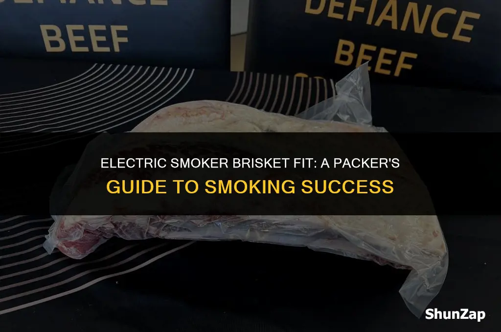 can a packer brisket fit in an electric smiker