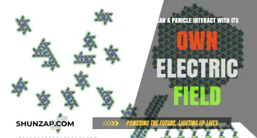Exploring Self-Interaction: Can a Particle Engage with Its Own Electric Field?