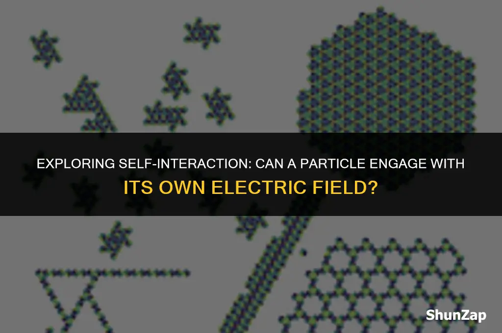 can a paricle interact with its own electric field