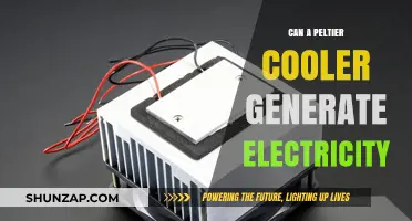 Harnessing Energy: Can Peltier Coolers Generate Electricity?