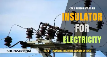 Exploring the Shocking Truth: Can Humans Act as Electrical Insulators?