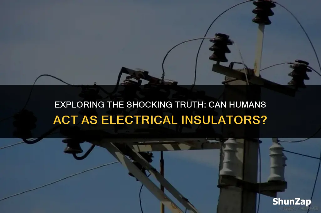 can a person act as an insulator for electricity
