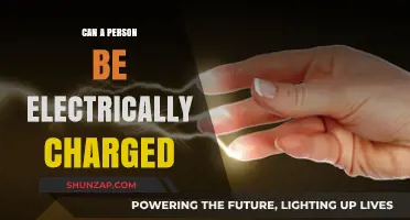 Exploring the Shocking Truth: Can Humans Conduct Electricity?