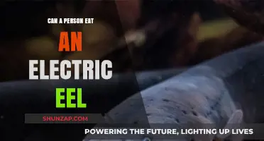 Shocking Truth: Can You Really Eat an Electric Eel?