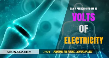 Exploring Human Bioelectricity: Can We Really Emit 15 Volts?