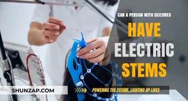 Exploring Electric Stems for Seizure Management: Possibilities and Considerations