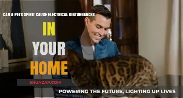 Mysterious Electrical Disturbances: Could Your Pet's Spirit Be the Culprit?