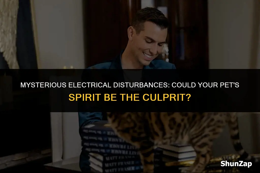 can a pets spirit cause electrical disturbances in your home