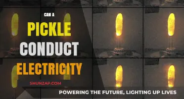 Exploring the Surprising Electrical Conductivity of Pickles